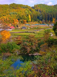 Idyllic country guest house with veg garden - 8