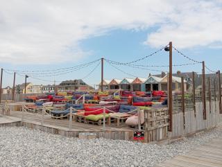 LES OISEAUX EN BAIE DE SOMME - 3