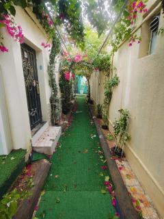 1BHK Deluxe front Hili Mall, Spacious - 1