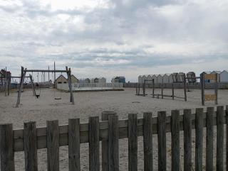 LES OISEAUX EN BAIE DE SOMME - 1