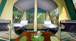The Yala Camping - 1