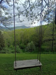 Chalet en Ariège insolite avec vue montagne, calme, nature et ciel étoilé - 1