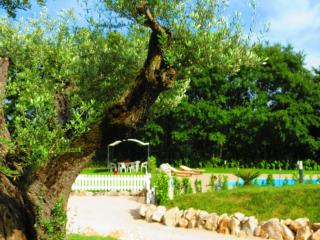 La Selva Incantata - Villa con Piscina e Giardino Privato - 8