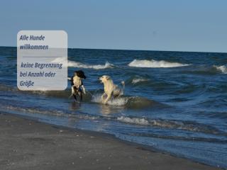 Ferienwohnungen Haus Krabbe zentral & hundefreundlich, ideal für Paare und Alleinreisende, zwischen Bremerhaven und Cuxhaven - 8