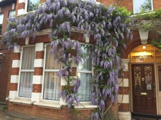 Large one bedroom flat with garden - 0