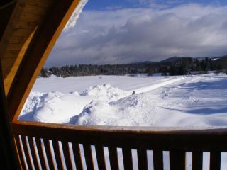 Bayerwaldblockhaus - Chalet in Bayern - 1