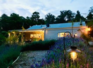 ONE WEE COTTAGE Cosy & dog friendly, BOOK NOW FOR CHRISTMAS IN JULY! - 7
