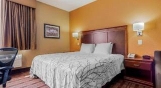 Best Western Plaquemine Inn - 9
