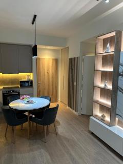 BW Luxury Apartment - 4