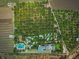 The Forest Chapter by Sayaji Sasan Gir - 1