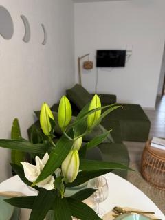 Green Leaf Apartment Cozy and Modern - 2