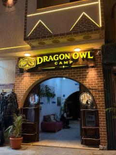 Dragon owl camp - 0