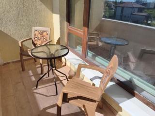 Voievozilor Grand Suite - 1