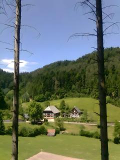 Waldbauernhof Fewo 1 - 6