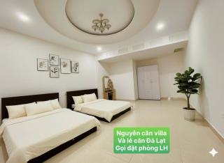 Villa Đà Lạt GR Gần Trung Tâm - 4