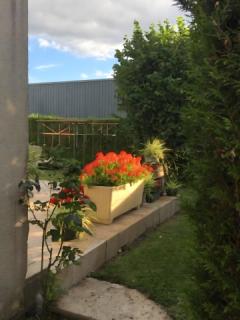 Chambres Du Bois Des Hâtes - 4