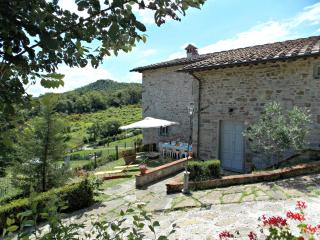 Casale Mocali - Fattoria del Mulinaccio - 3