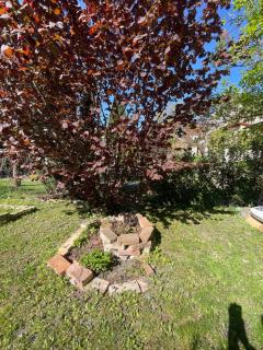 Small house with a garden in the heart of Slavkov - 4