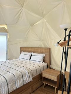 Zatura Dome Glamping - 9
