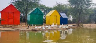 Hotel Goram Garh Resort - 7
