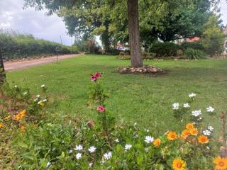 Merwenstein - Farm House, Cottages, Studio-Units - 5