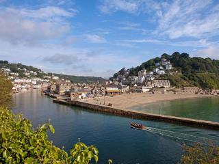 2 Bed in Liskeard oc-landc - 8