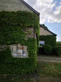Chambre d'hôte Monthorin - 6