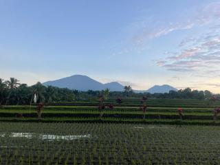 Svarga Uma Cottage - Unwind Amidst Bali Starling Sanctuary - 4