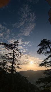 MnM Stays, Shimla - 9
