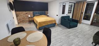Apartament Nova Kamienica - Studio - 1