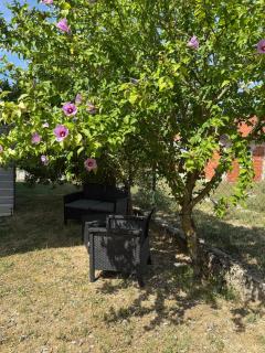 Studio apartman StelLar - 6