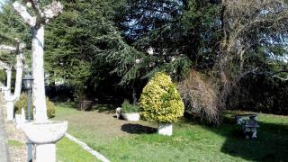 El Pinar de la Puebla de Sanabria - 1