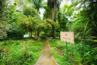 Red Earth Kabini - Begūr - 1