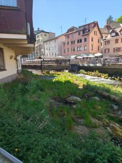 Vinami Hotel - Bad Wildbad - 3