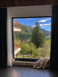 Stone Room with jacuzzi Sinaia - 5