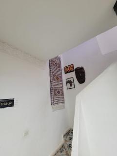 bel kayed - 8