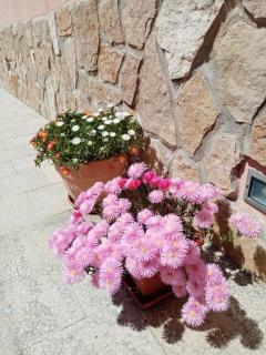 Casa De Grazia - 4