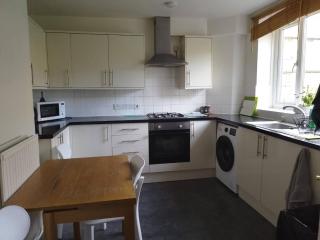 Charming 4-Bedroom Apartment in the Heart of London - 9