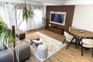 Divine apartmani Dobanovci - 1