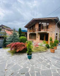 ბორჯომი საოჯახო სასტუმრო "გიომანი" Borjomi Guest House "GioMaNi" დასვენება ბორჯომში "GioMaNi" - 9