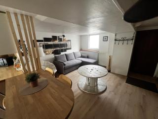 Petite Maison Briarde - Disney - 8