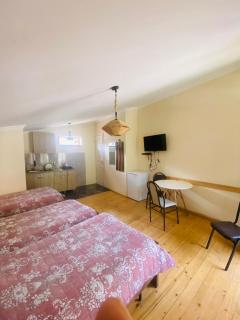 ბორჯომი საოჯახო სასტუმრო "გიომანი" Borjomi Guest House "GioMaNi" დასვენება ბორჯომში "GioMaNi" - 2