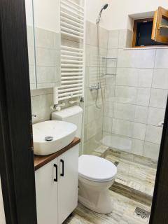 Casa Bradu - 1