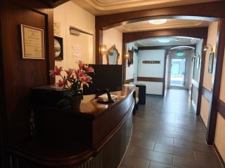 Vinami Hotel - Bad Wildbad - 6