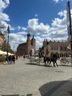 Apartment in Old Town - Bracka 1A - 6