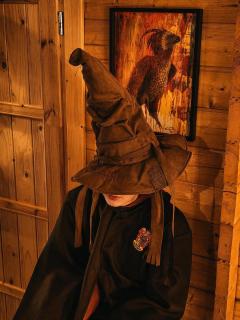 HARRY POTTER-Chalet du Sanglier Magique - - 8