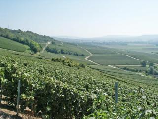 Le gîte du vignoble - 4