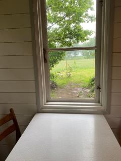 Tiny house on a beautiful farm in Österlen - 9