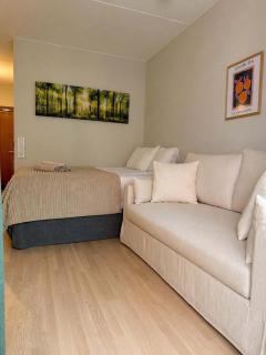 Modern studio with balcony - 3