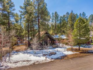 Stylish Cozy Cabin Retreat in Munds Park - 4